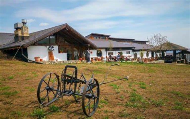 Cifră de afaceri impresionantă în 2022 / Resortul cuprindea ’21 de odăi’, patru căsuțe suspendate și 4 colibe dacice