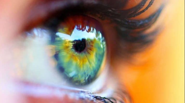 Cercetătorii au creat prima conjunctivă umană în laborator