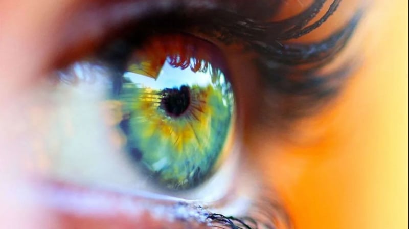 Cercetătorii au creat prima conjunctivă umană în laborator