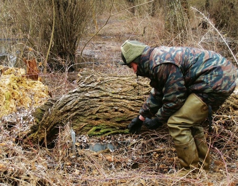 Banii sunt cheltuiți pe capcane