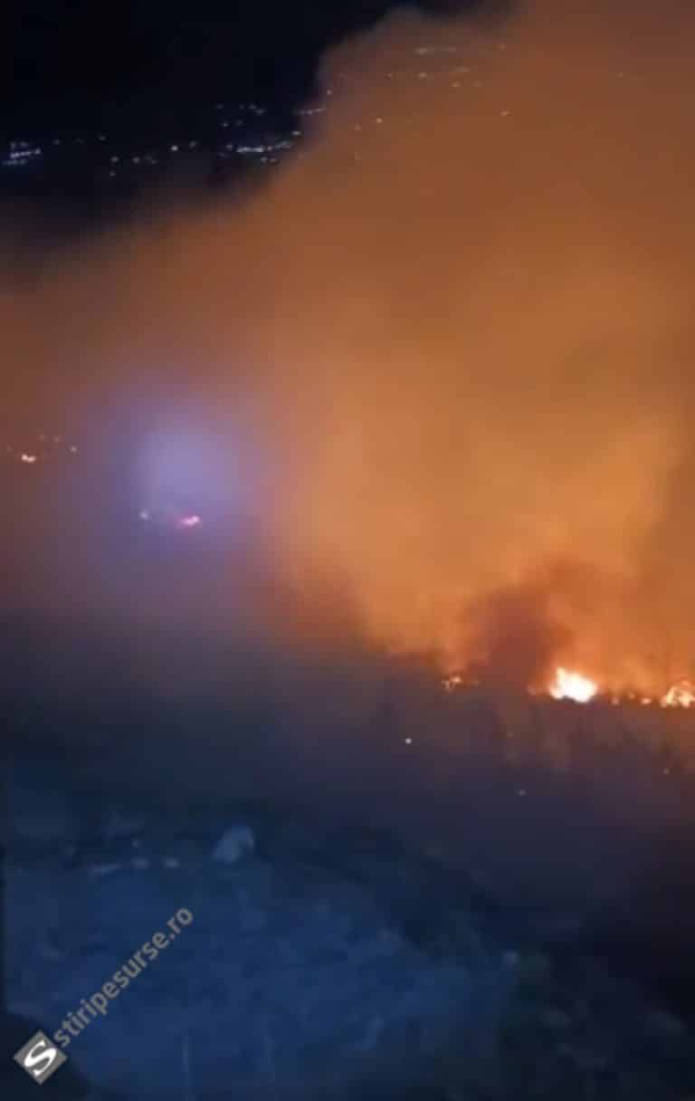 Flăcările au cuprins 20 de hectare
