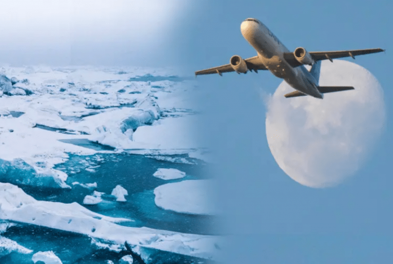 această decizie a fost stabilită în anii 1950