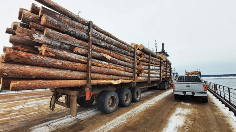 deși a primit subvenții ecologice, arde lemnul din unele dintre cele mai prețioase păduri din lume