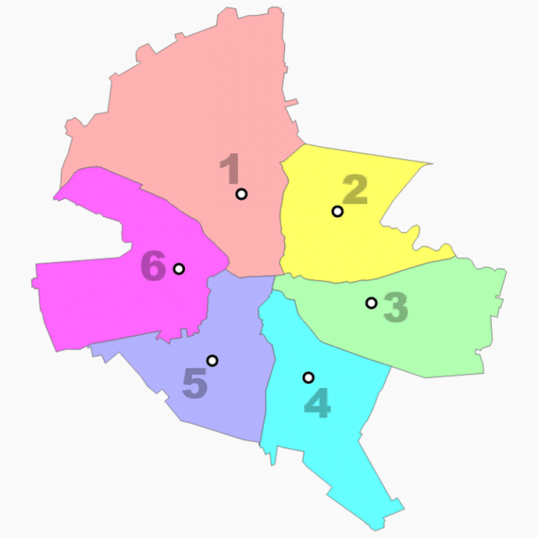 Decizii în coaliție: Candidaturi comune PSD