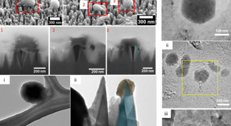 materialul ce elimină aproape toți virușii