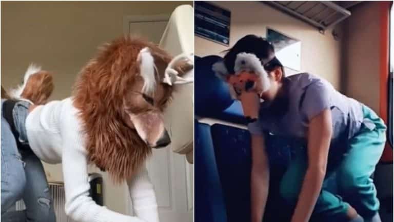 VIDEO Trendul bizar care a luat amploare în liceele din România! Elevii se identifică drept animale şi vin îmbrăcaţi ca vulpi şi papagali: ‘Urcă în patru labe’