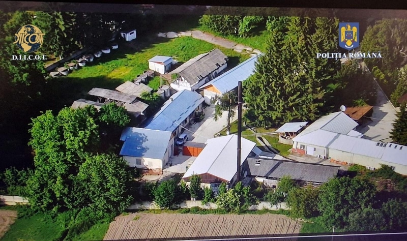 VIDEO Polițiștii au tăiat de la rădăcină ‘iarba dulce’ a traficanților de droguri din Dâmbovița