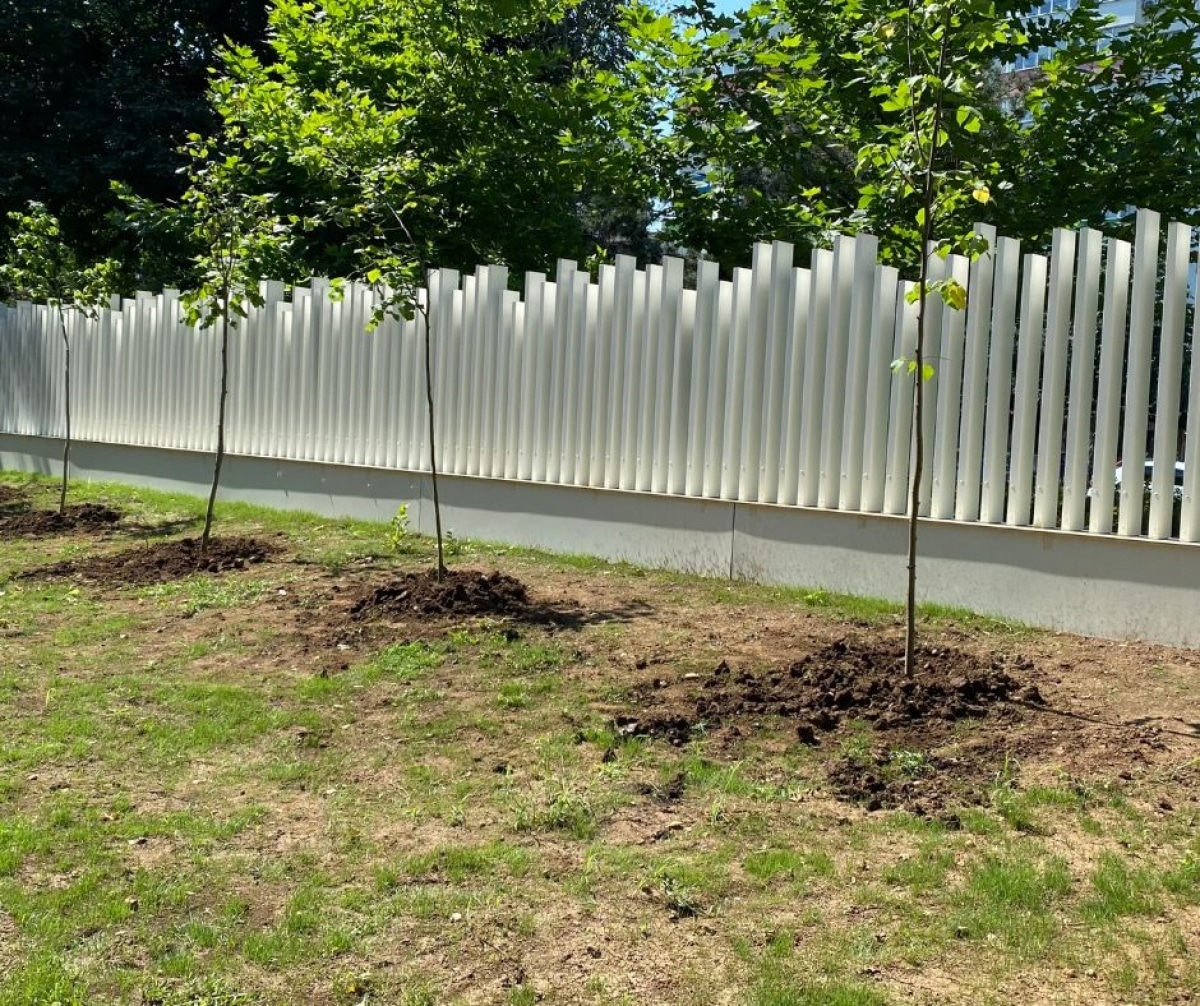 copacii au devenit o sursă ascunsă de poluare (studiu)