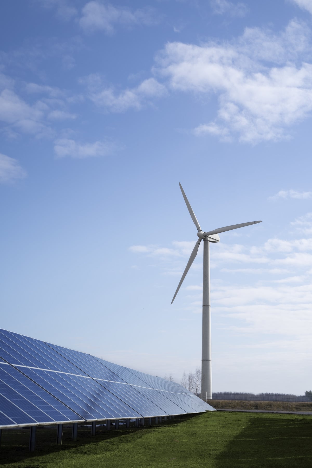 Românii adoptă energia verde – Cererea pentru soluții de eficiență energetică aproape s-a triplat