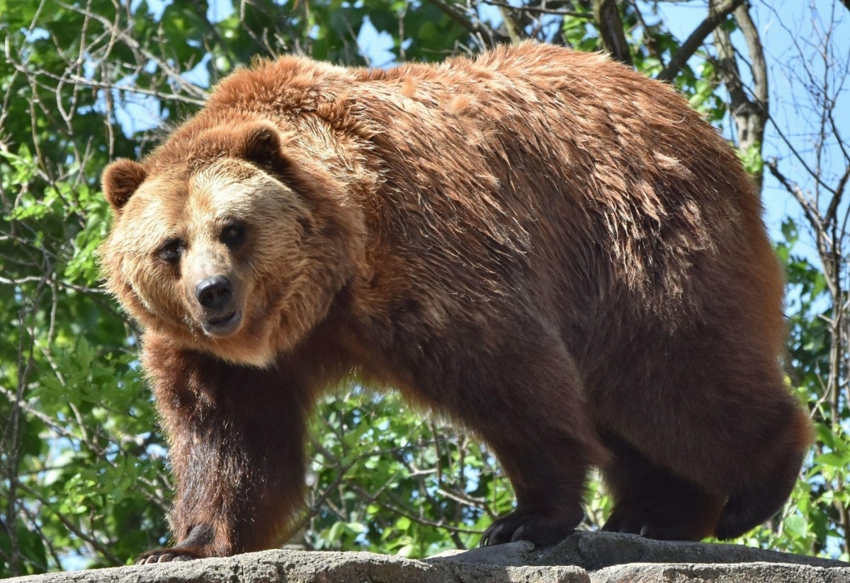 ‘Nu este suficientă. Nu putem garanta nimănui…’