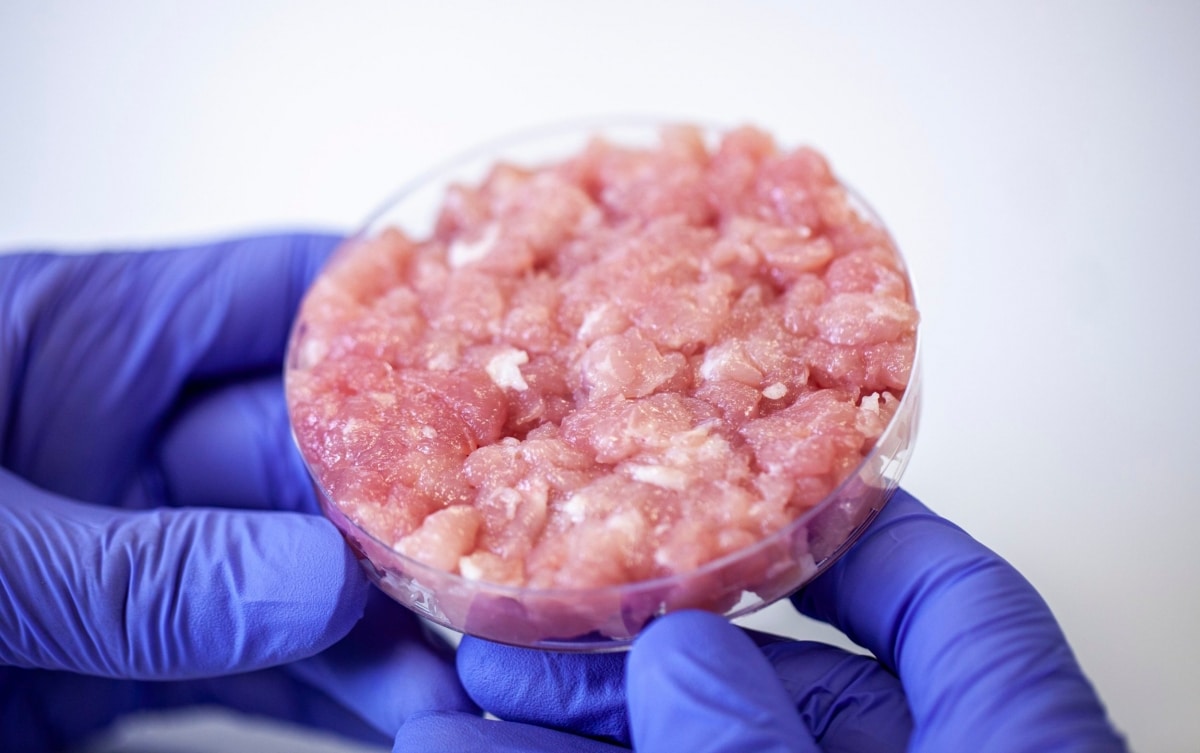 Primul tip de carne artificială aprobat în Europa va fi comercializat în Marea Britanie